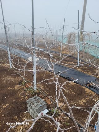 조상연님의 기타작물 · 영농일지 작성글 사진