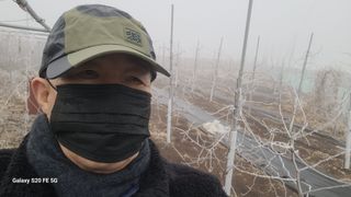 조상연님의 기타작물 · 영농일지 작성글 사진