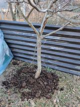 팜모닝 기타작물·영농일지 게시글 이미지