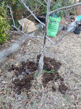 새의눈님의 기타작물 · 영농일지 작성글 사진