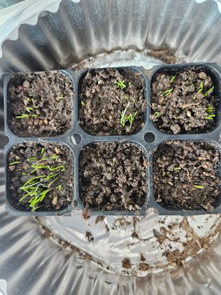 경기도님의 기타작물 · 영농일지 작성글 사진