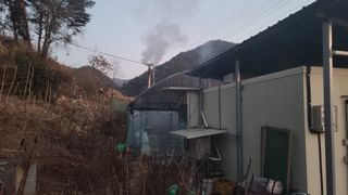 이동걸님의 두릅 · 영농일지 작성글 사진