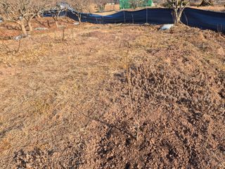 최진일님의 감 · 영농일지 작성글 사진