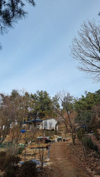 권혁렬님의 기타작물 · 영농일지 작성글 사진