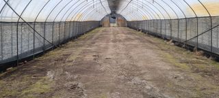 황인동님의 기타작물 · 영농일지 작성글 사진