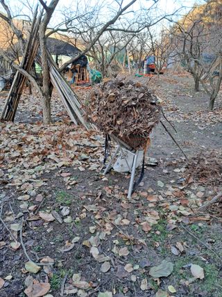 김정국님의 기타작물 · 영농일지 작성글 사진