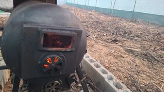 이동걸님의 두릅 · 영농일지 작성글 사진