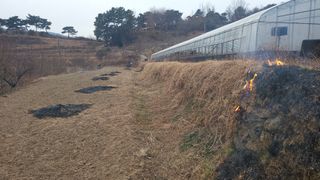 권병국님의 감자 · 영농일지 작성글 사진