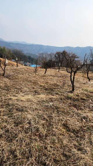 현길01021982님의 기타작물 · 영농일지 작성글 사진