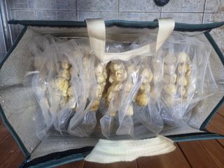 김종필님의 기타작물 · 영농일지 작성글 사진