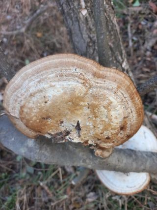 감11177님의 기타작물 · 영농일지 작성글 사진