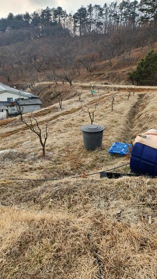 현길01021982님의 기타작물 · 영농일지 작성글 사진