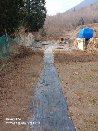 이세순님의 기타작물 · 영농일지 작성글 사진