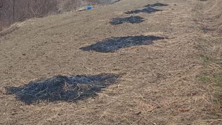 권병국님의 감자 · 영농일지 작성글 사진