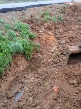 팜모닝 기타작물·영농일지 게시글 이미지