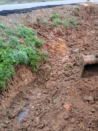 김선희님의 기타작물 · 영농일지 작성글 사진