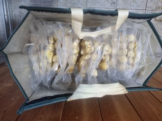 김종필님의 기타작물 · 영농일지 작성글 사진