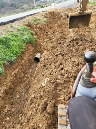 김선희님의 기타작물 · 영농일지 작성글 사진