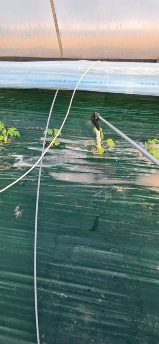 신동문님의 기타작물 · 영농일지 작성글 사진