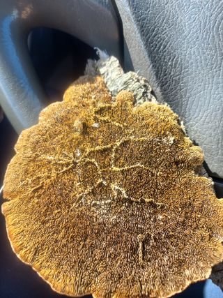 감11177님의 기타작물 · 영농일지 작성글 사진