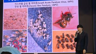 소병찬님의 기타작물 · 영농일지 작성글 사진