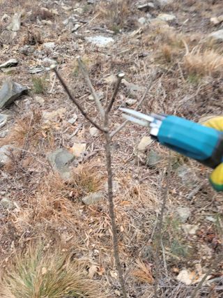 서성환님의 기타작물 · 영농일지 작성글 사진