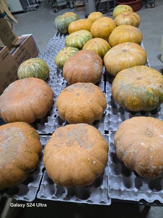 소병찬님의 기타작물 · 영농일지 작성글 사진