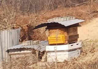 김태석님의 기타작물 · 영농일지 작성글 사진