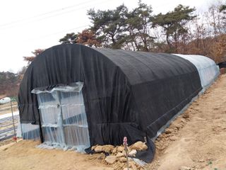 성주 농업인님의 기타작물 · 영농일지 작성글 사진