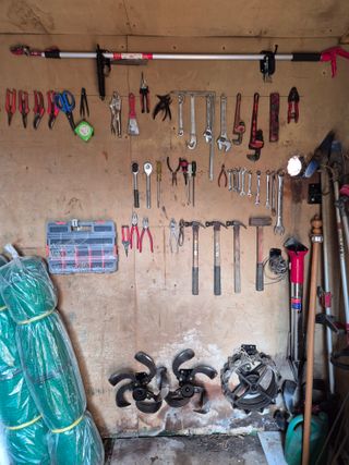 금송농원정시훈님의 기타작물 · 영농일지 작성글 사진