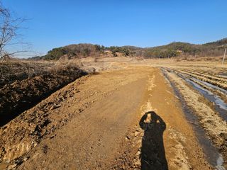 쌍학리 농민님의 기타작물 · 영농일지 작성글 사진