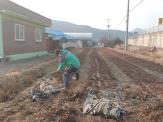 취강님의 기타작물 · 영농일지 작성글 사진