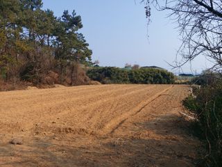 김태훈님의 기타작물 · 영농일지 작성글 사진