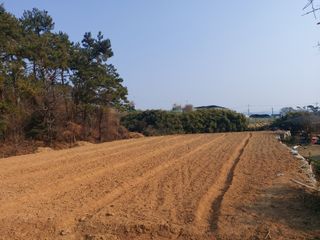 김태훈님의 기타작물 · 영농일지 작성글 사진