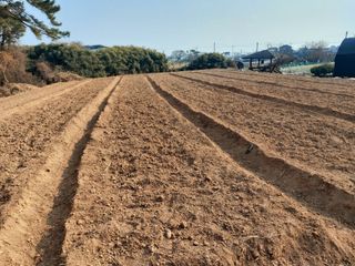 김태훈님의 기타작물 · 영농일지 작성글 사진