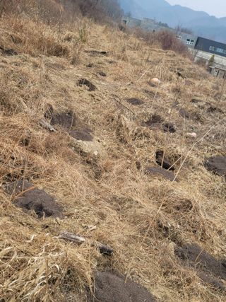 서성환님의 기타작물 · 영농일지 작성글 사진