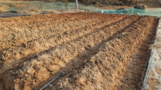 김홍환님의 기타작물 · 영농일지 작성글 사진