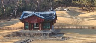 정진해님의 기타작물 · 영농일지 작성글 사진