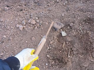 박정원님의 기타작물 · 영농일지 작성글 사진