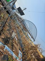 팜모닝 포도·영농일지 게시글 이미지