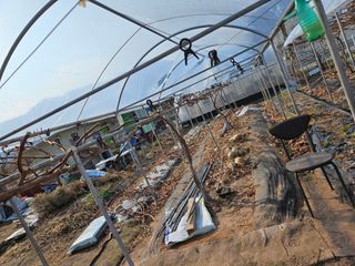 정일선님의 포도 · 영농일지 작성글 사진