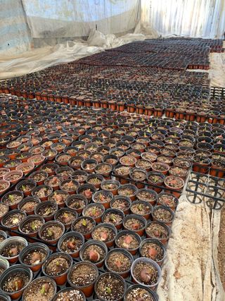 원스피릿팜님의 기타작물 · 영농일지 작성글 사진