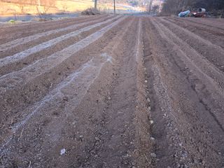 박정원님의 기타작물 · 영농일지 작성글 사진