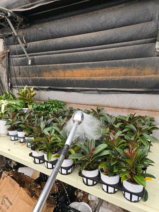 두릅나무15847님의 기타작물 · 영농일지 작성글 사진