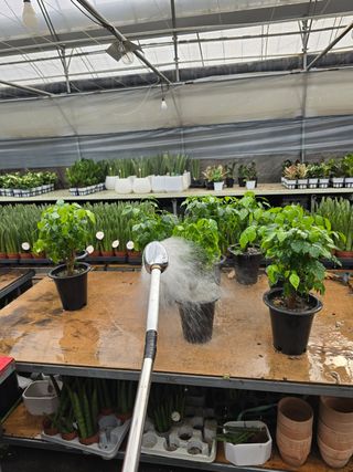 두릅나무15847님의 기타작물 · 영농일지 작성글 사진