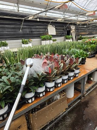 두릅나무15847님의 기타작물 · 영농일지 작성글 사진