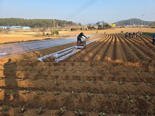 박수열님의 기타작물 · 영농일지 작성글 사진