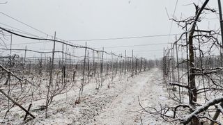 유혜영님의 기타작물 · 영농일지 작성글 사진