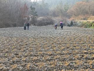 박수열님의 기타작물 · 영농일지 작성글 사진
