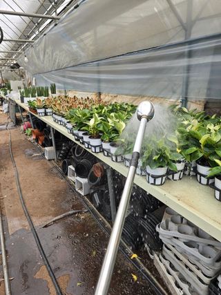 두릅나무15847님의 기타작물 · 영농일지 작성글 사진